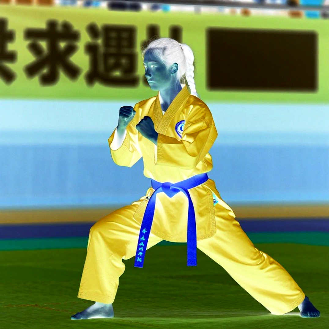 0,133 Điểm: Người Đi Cuối Và Giới Hạn Đáy Của Một Huyền Thoại Wushu
