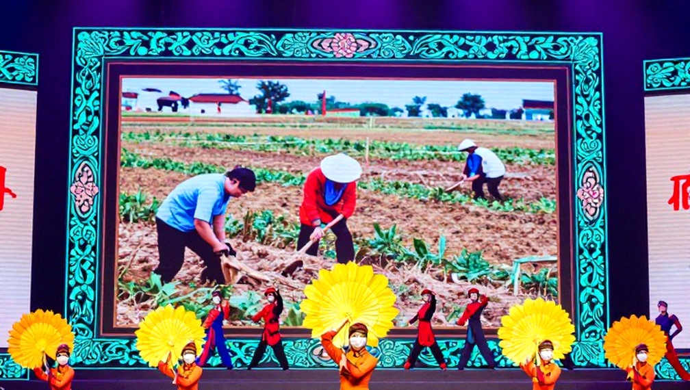 Võ thuật chuyên nghiệp: khoảng trống giữa sàn đấu và bảng dữ liệu