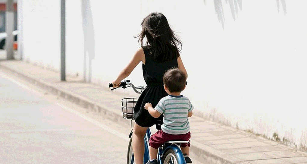 Tám lớp dữ liệu của võ đài Việt Nam: Từ MMA, quyền Anh đến tán thủ và bài quyền