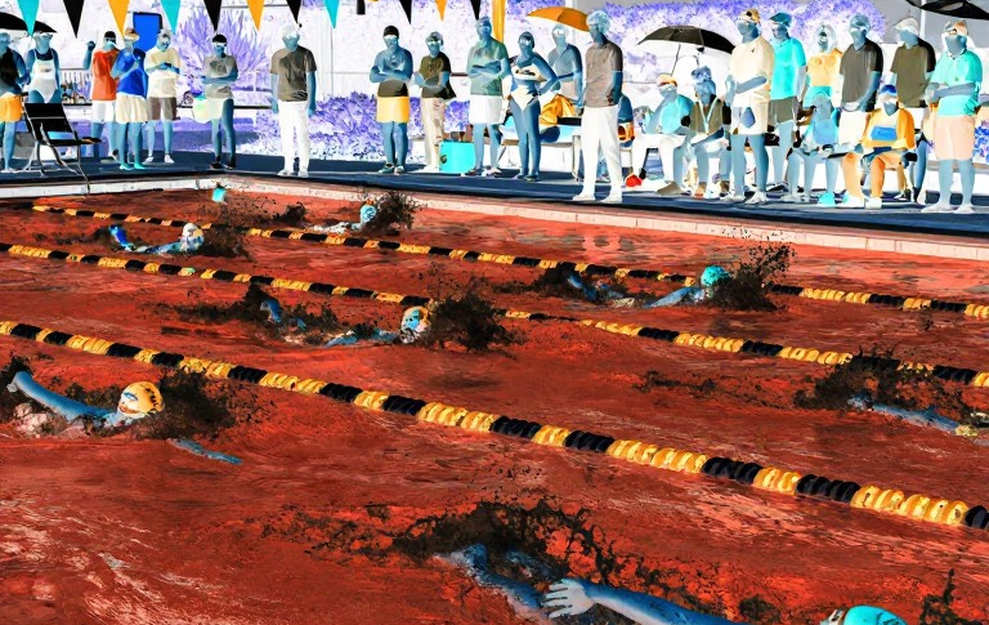 Bơi lội Việt Nam giữa hai chu kỳ: đường đua trong nhà, đường đua thế giới