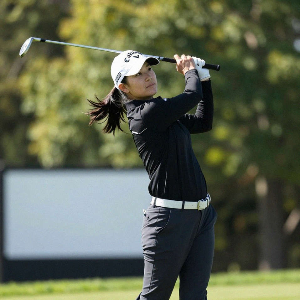 Ô trống trong bảng phân tích golf: khi dữ liệu vắng mặt, cả ngành điền vào đó bằng phỏng đoán Ô trống trong bảng phân tích golf: khi dữ liệu vắng mặt, cả ngành điền vào đó bằng phỏng đoán