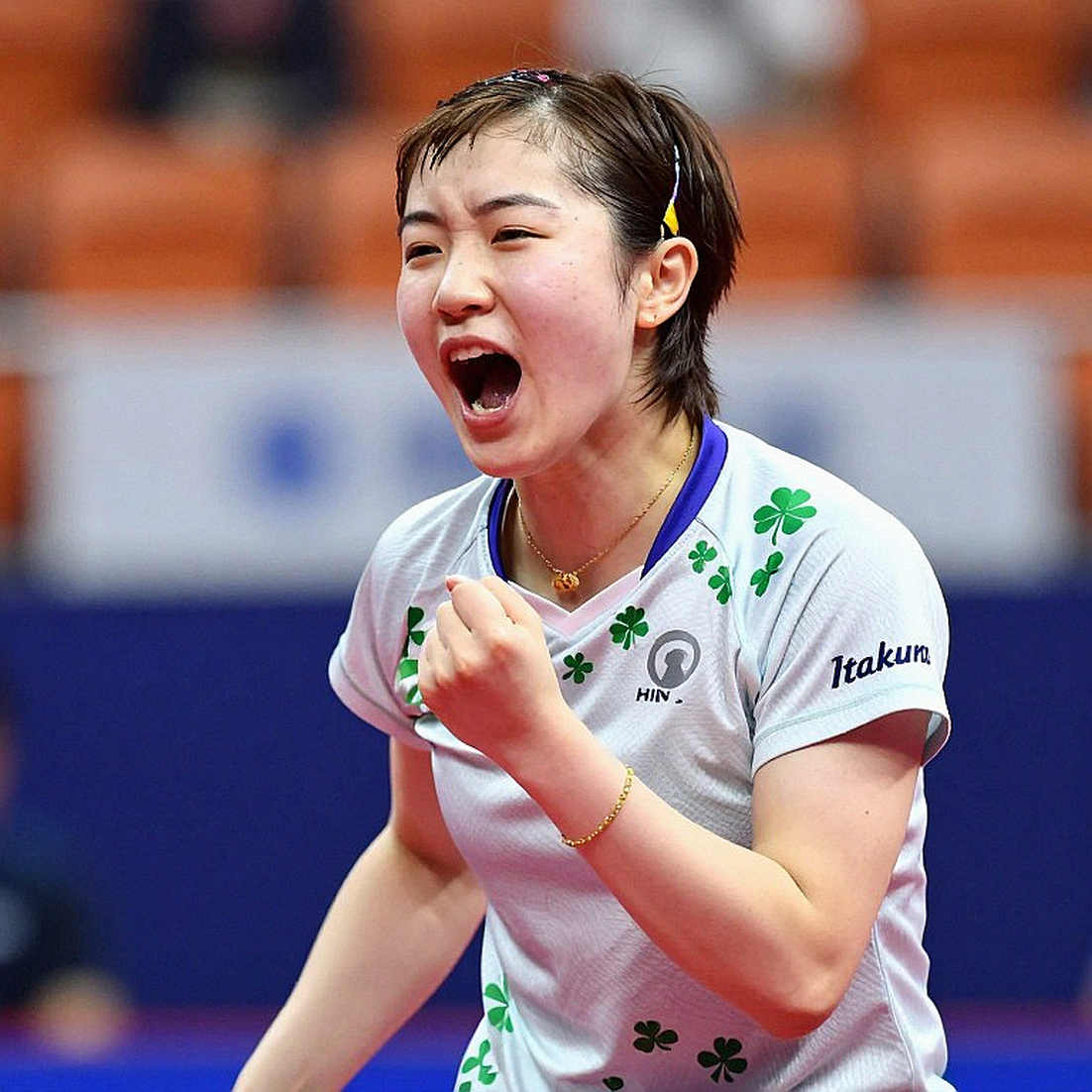 IOA forms Ad-Hoc Committee to run suspended TTFI: A six-month power transition under ITTF supervision IOA forms Ad-Hoc Committee to run suspended TTFI: A six-month power transition under ITTF supervision