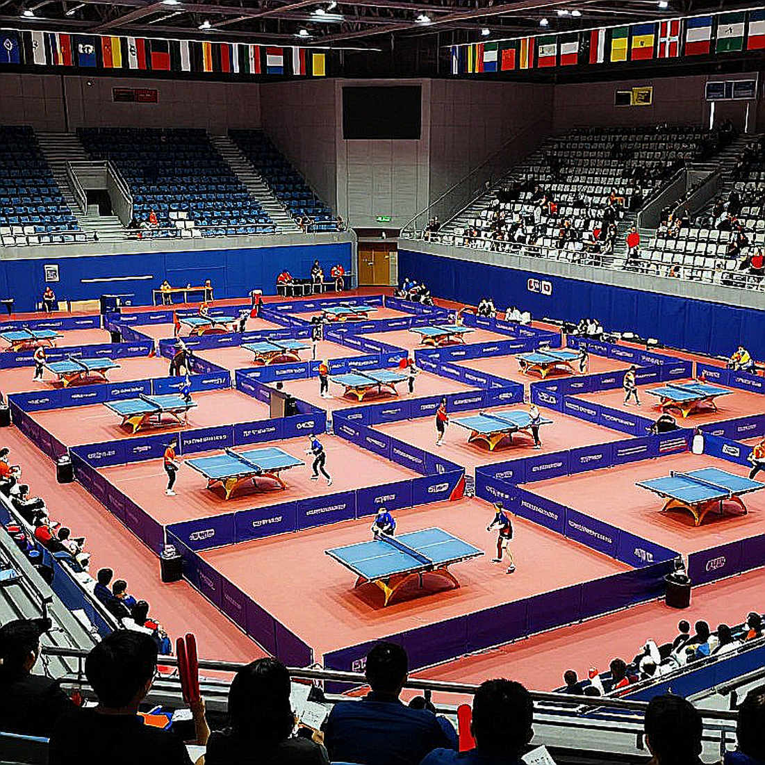 Bóng bàn Việt Nam 2026: thế hệ không có số liệu